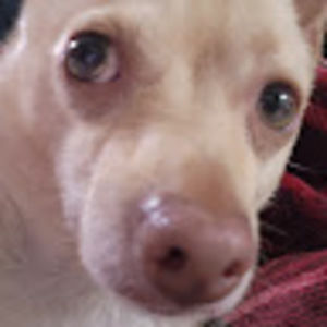 Meet your Posher, Alessandra